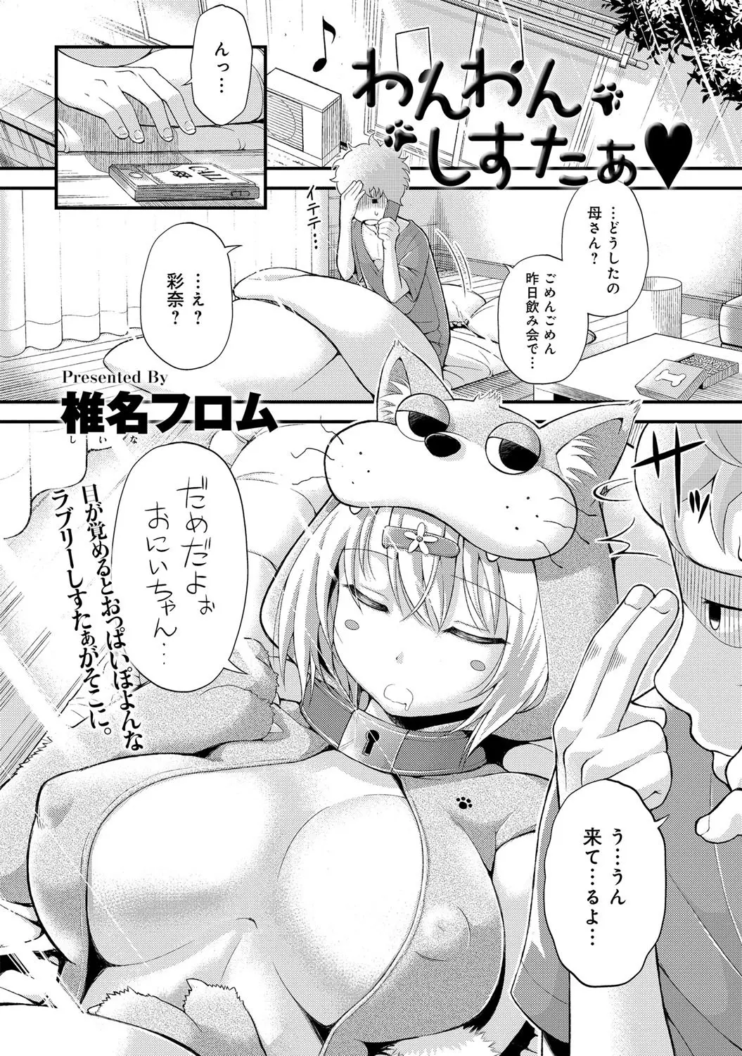 飲み会のビンゴでもらったメス犬調教セットで遊びに来てた巨乳妹と楽しくエッチする泥酔兄ｗこんなに大きく成長しちゃって好きな人でもできたか？教えてくれないといたずらしちゃうぞ！言わないってことはお兄ちゃんにメス犬マンコ見てもらいたいのかな？わたしが好きなのはお兄ちゃんですぅぅぅぅ♡