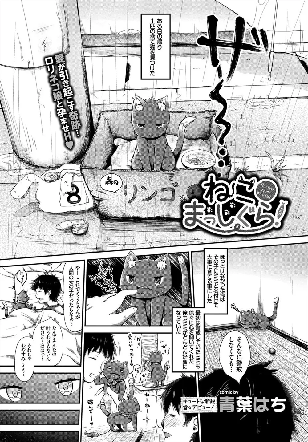 雨の中ビショ濡れになっていた捨て猫を拾って帰ったら、翌日目を覚ますと擬人化して美少女になっていてお礼にご奉仕セックスされた件！