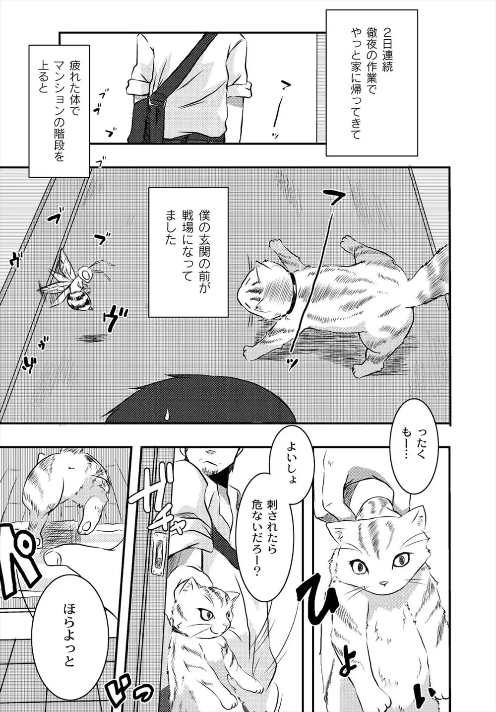 ハチと戦っていた猫を助けてあげたら、後日実は劣勢だったハチのほうが擬人化してお礼にやってきて中出しセックスさせてくれた件ｗｗｗｗｗｗ